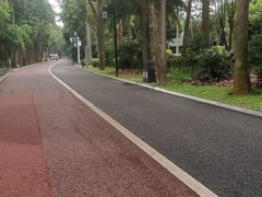 -南宁南湖公园