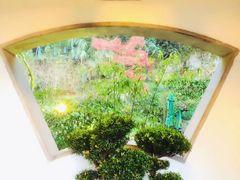 -十八棵（老龙井）御茶园(老龙井店)