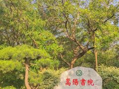 -禅宗少林·音乐大典