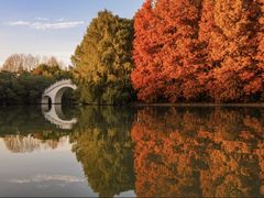 -上海海湾国家森林公园