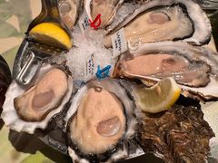 -Oyster Bar Wharf Shinjuku NEWoMan