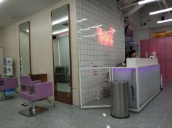 点击看大图 -时尚工厂·科学染发