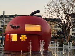 -江南雅厨(李公堤店)