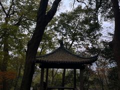-杭州黄龙洞
