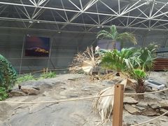 -中国第四纪冰川遗迹陈列馆