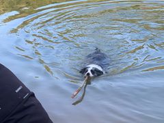 -孔雀湖生态旅游区