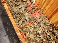 -初色海鲜自助(万丰路店)