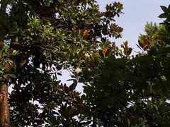 -浙江西子宾馆·瑶园咖啡厅