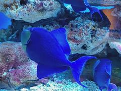 -秦皇岛新澳海底世界