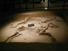 -洛阳周王城天子驾六博物馆