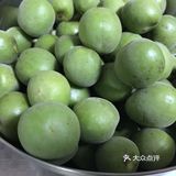 青梅酒
