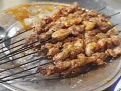 烤羊肉串-张四烤羊肉(西藏自治区拉萨市丹杰林巷店)