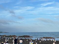 -小麦岛公园