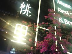 -胡桃里乐队酒馆(鎏嘉码头店)