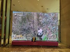 -成都保利公园皇冠假日酒店(熊猫基地店)