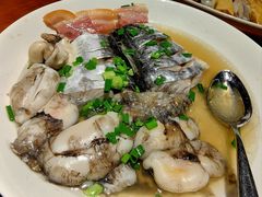 马鲛鱼蒸墨鱼蛋-高佳庄·舟山海鲜(海景旗舰店)