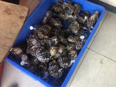 -阳澄湖大闸蟹·琼灵阁牌品牌连锁(吴中总店)