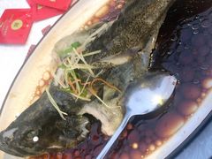 清蒸石斑鱼-琼大师东方烤乳猪(亚特兰蒂斯店)