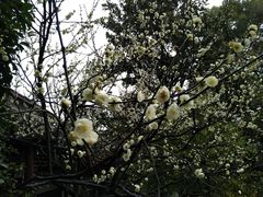 -无锡惠山寺