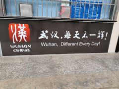 -武昌中华路码头(轮渡站)