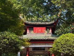 -杨裕兴(岳麓山店)