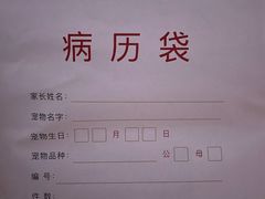 -艾贝尔宠物医院·24H转诊中心·肿瘤猫专科(江宁双龙店)