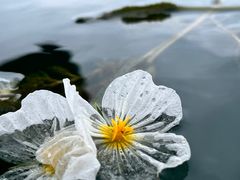 -丽江泸沽湖景区