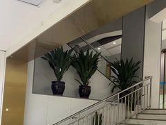 -美可普口腔医院(东街分店)
