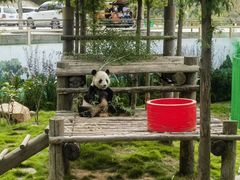 -西霞口神雕山野生动物世界