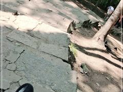 -帽儿山风景区