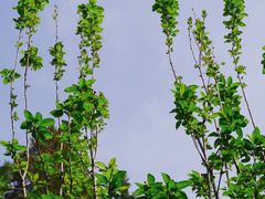 -陶然亭公园