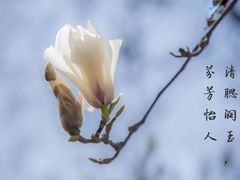 -大连理工大学(凌水校区)
