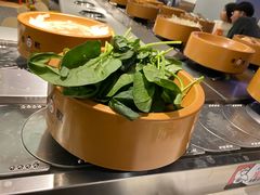 -龍歌自助小火锅(市南金茂湾店)