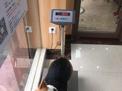 -瑞鹏宠物医院·夜间急症·心超·猫科(祖庙分店)