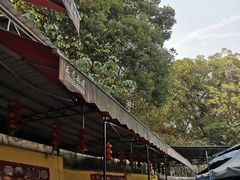 -章记正宗南岗鱼蛋火锅