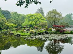 -杭州植物园