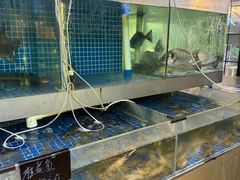 -蚝美人·生蚝海鲜烧烤(茶花园店)