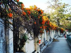 -纪念孙中山市政公园