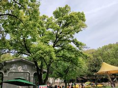 -WeLope紫金山探险公园