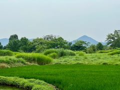 -良渚古城遗址公园