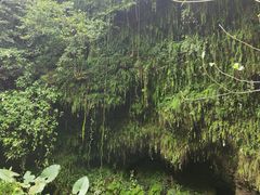 -海口火山口国家地质公园