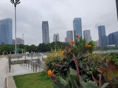 -天鹅湖体育公园