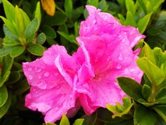 -白塘生态植物园