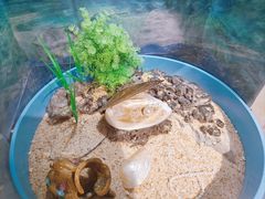 -海合安武汉极地海洋公园