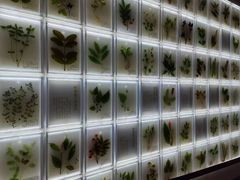 -广东中医药博物馆