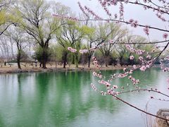 -颐和园