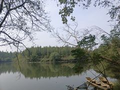 -东平国家森林公园