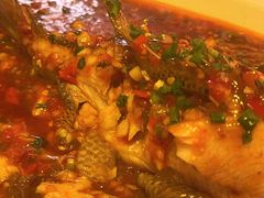 豆瓣鱼-龙门阵茶屋川菜馆(武康路店)