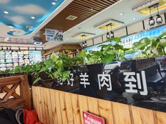 -313羊庄鲜羊火锅·鲜羊肉烧烤(李村店)