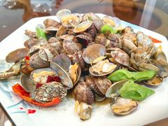 辣炒花蛤-华圆美食